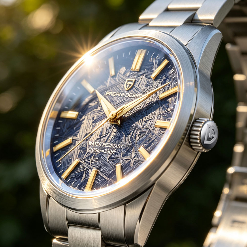 Luxury Watch And Bracelet - PAGANI DESIGN 40MM Men Quartz Watch